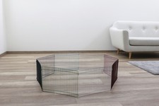 Freigehege Auslaufgehege für