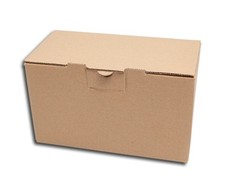 CD Versandkarton für 25 CDs