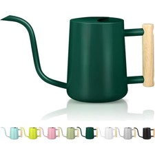 Zimmerpflanzen Gießkanne