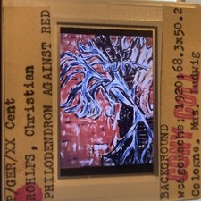 Christian Rohlfs "Philodendron