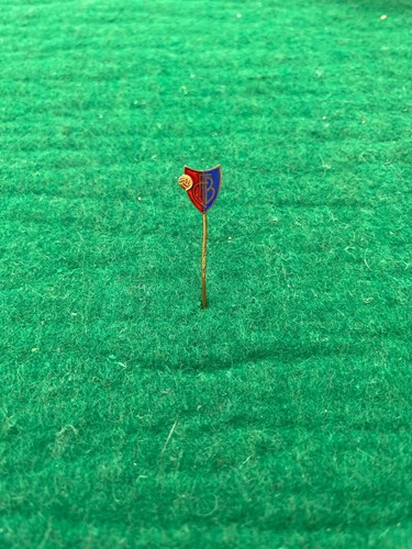 Pin anstecknadel basel - pin,
