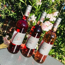 Rosé Wein Paket 6 Fl. -