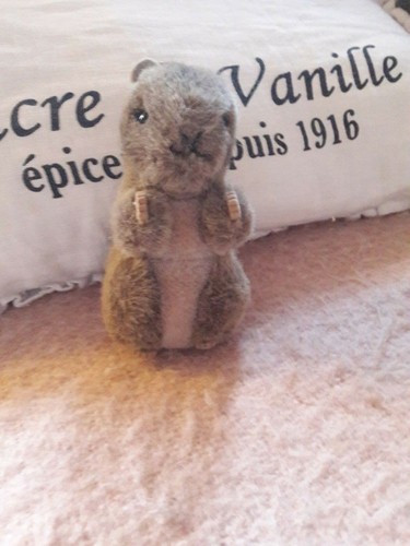 Murmeltier von - ♥♥♥,