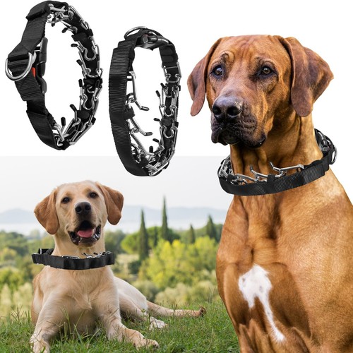 Hundehalsband training - m/xl,