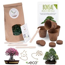 Bonsai Starter Kit Anzuchtset