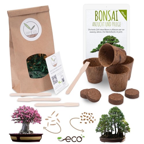Bonsai starter kit anzuchtset - bonsai,