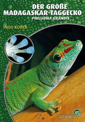 Der große madagaskar taggecko - der, madagaskar-taggecko