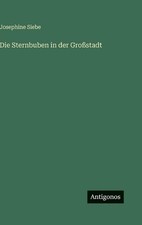 Die Sternbuben in der Grostadt