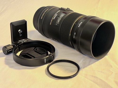 Sigma 105mm dg - ex, 1:1