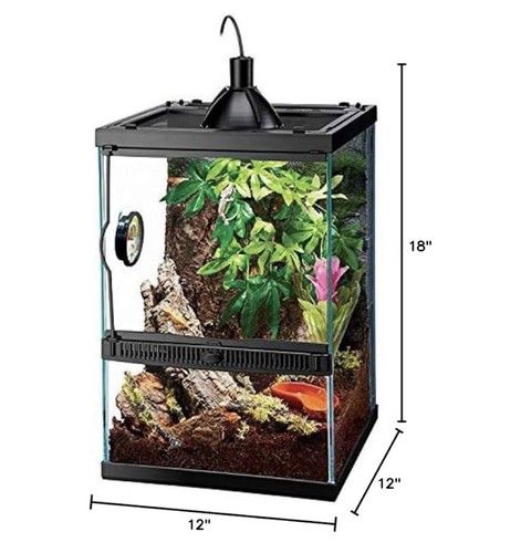 Terrarium gallon glass - gallon,