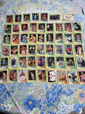 52 verschiedene WWF Karten - WRESTLING MERLIN COLLECTIONS SAMMELKARTEN 1993