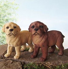 Stehende Labrador Welpe H