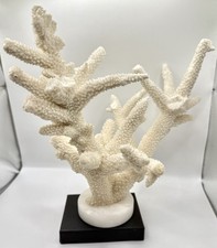 Dekorative weiße Koralle auf Sockel – Natur Korallenast, maritime Deko