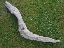 Große Skulptur Schwemmholz Treibholz Tier Reptil Schlange Terrarium ca. 107 cm