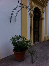 Wandrosenbogen INNSBRUCK B 100