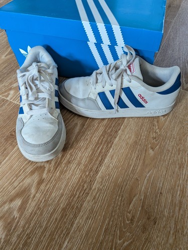 Adidas low top sneaker - adidas,