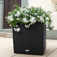 Lechuza 'Cube Cottage 40' graphitschwarz ca.