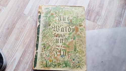 Aus wald und flur pflanzen - wald,