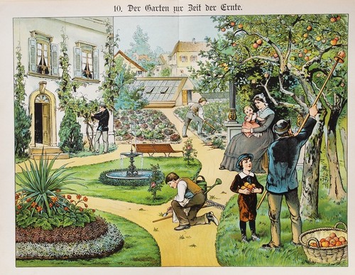 Garten gärtner apfel baum - garten,