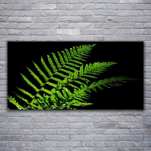 Acrylglasbilder wandbilder - acrylglasbilder,