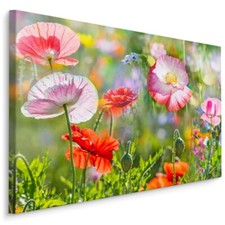 CANVAS Leinwand Bilder XXL