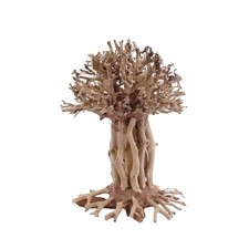 Bonsai Mammut Baum L Wurzel