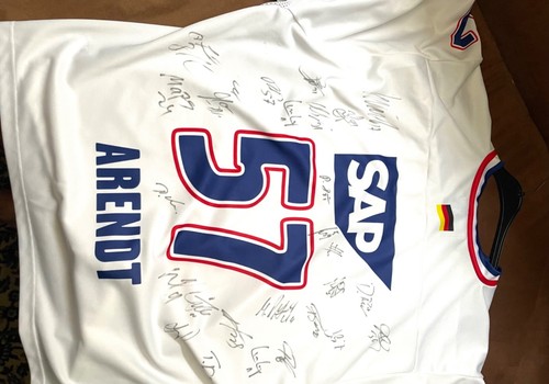 Adler mannheim nhl team - nhl,