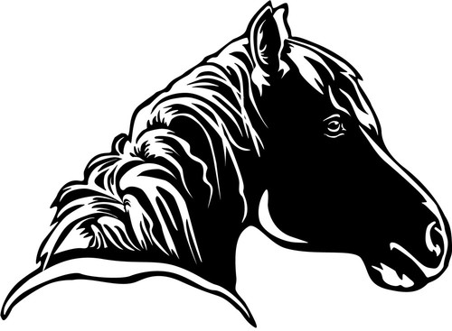 Aufkleber pferd pferdekopf - pferd,