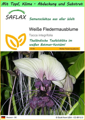 Saflax garden weiße - saflax,