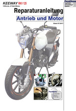 Reparaturanleitung RIS für