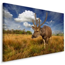 Leinwand Bild CANVAS WANDBILD