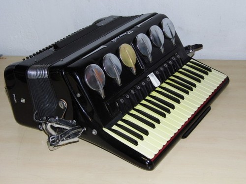 Akkordeon parrot 120 bass - akkordeon,