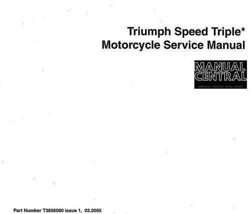 Triumph speed triple werkstatt - speed,