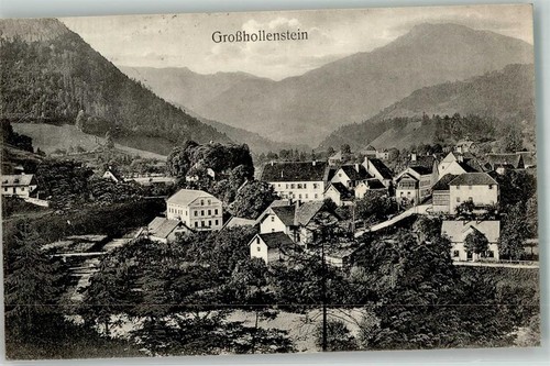 13979686 hollenstein - -,
