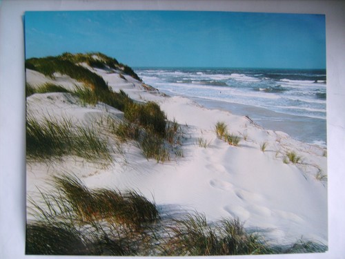 Dünenlandschaft mit