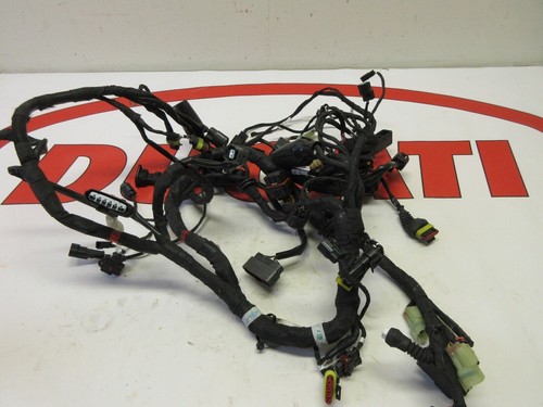 Ducati elektro kabelbaum - ducati,