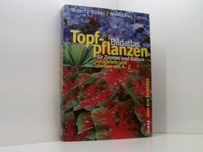 Bildatlas topfpflanzen für - bildatlas,