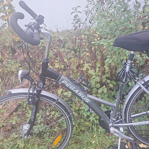 Pegasus solero trekkingrad - pegasus,