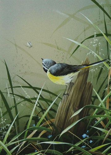 John morris original - r,
