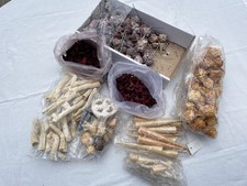 Konvolut Floristik Bastelartikel Herbst Zapfen