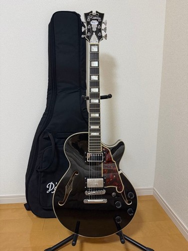 Dangelico premier gitarre - premier, ss