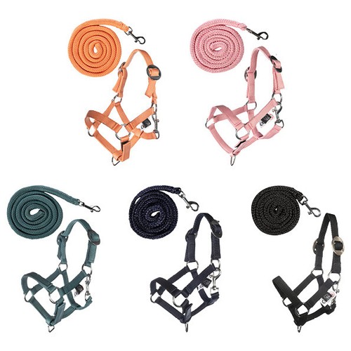 Hobby horse halfterset basic - horse,