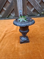 Kleine Amphore Gusseisen mit Sukkulente
