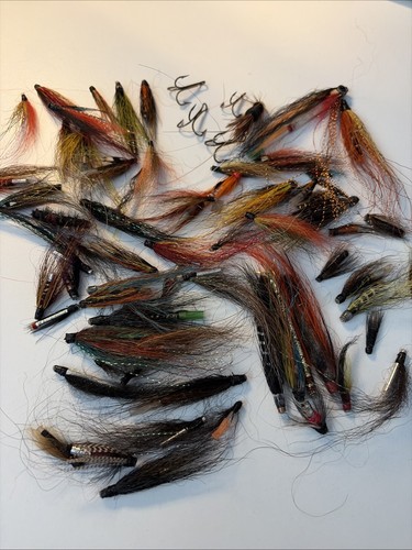 Haarflügel röhrenfliegen - haarflügel,