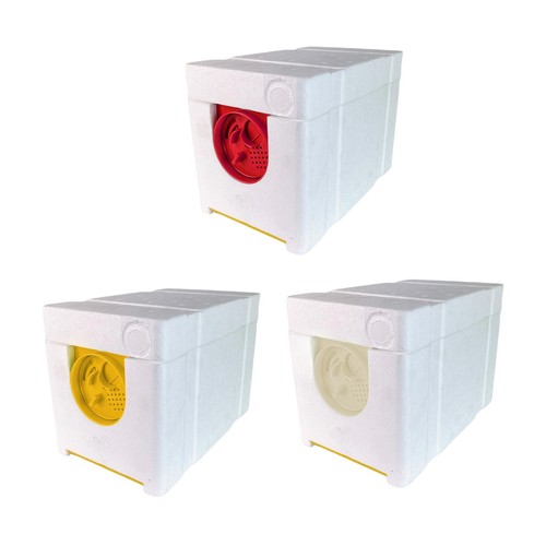 Queen bee zuchtbox - queen,