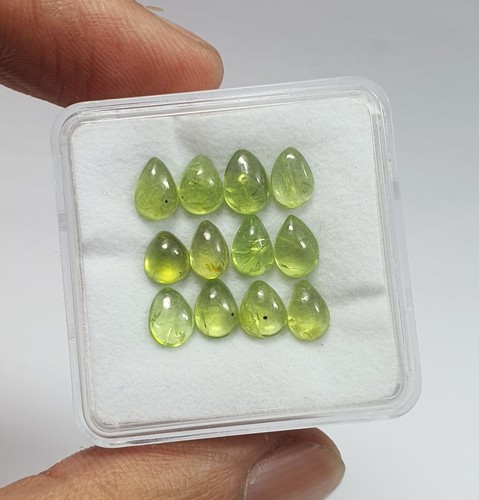 Stck natürlicher grüner - 13,