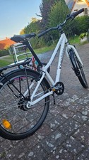 KaniaBikes Twentyfour StVO! Kania Bike Kaniabike 24 (besser als Woom!)