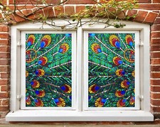 3D Pfau Feder 2431NAM Fenster