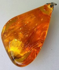 Baltischer Natur Bernstein Anhänger