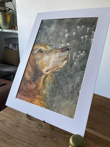 Golden retriever hund aquarell - hund,